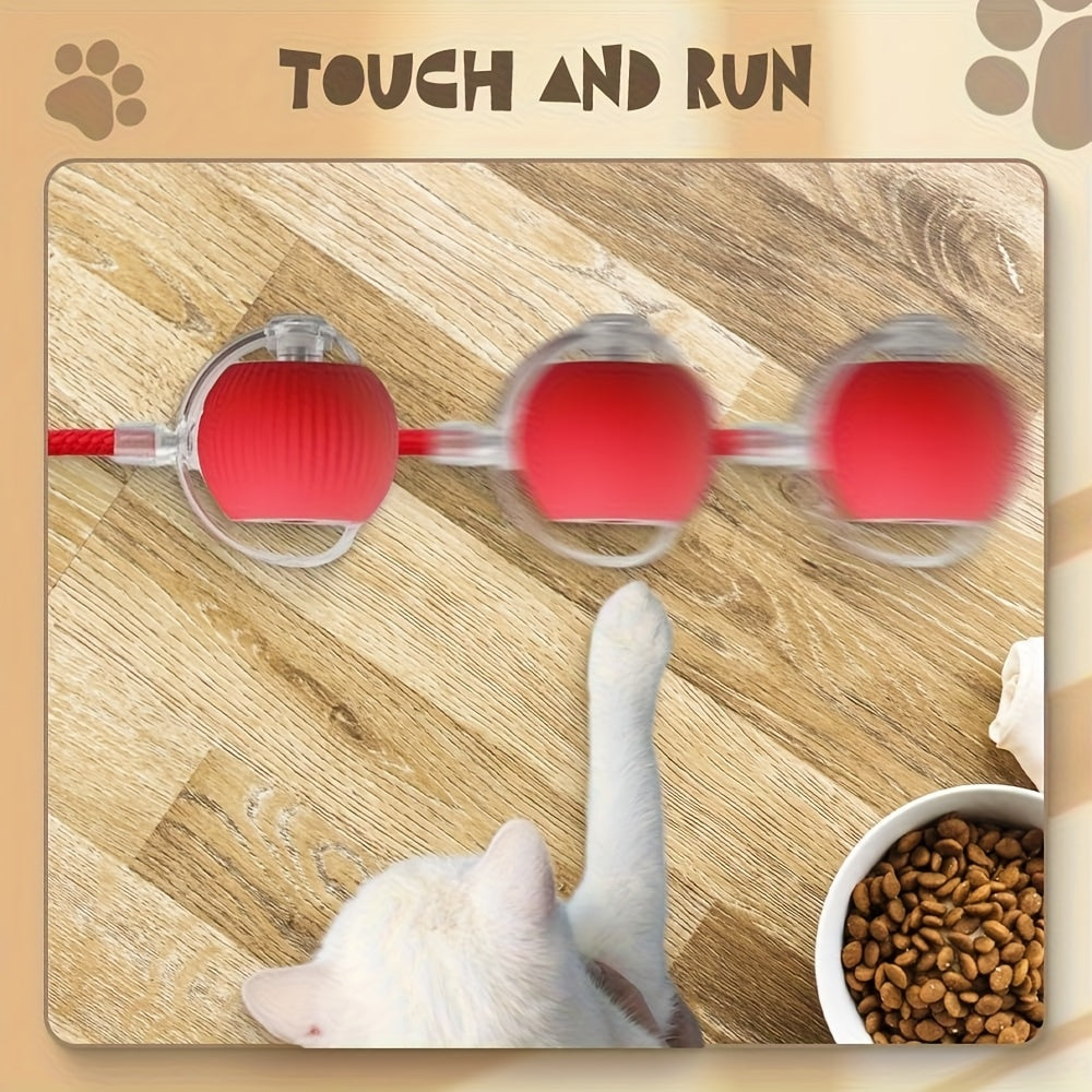 Mini Automatic Rolling Pet Ball Set – 3-Piece USB Rechargeable Interactive Toy