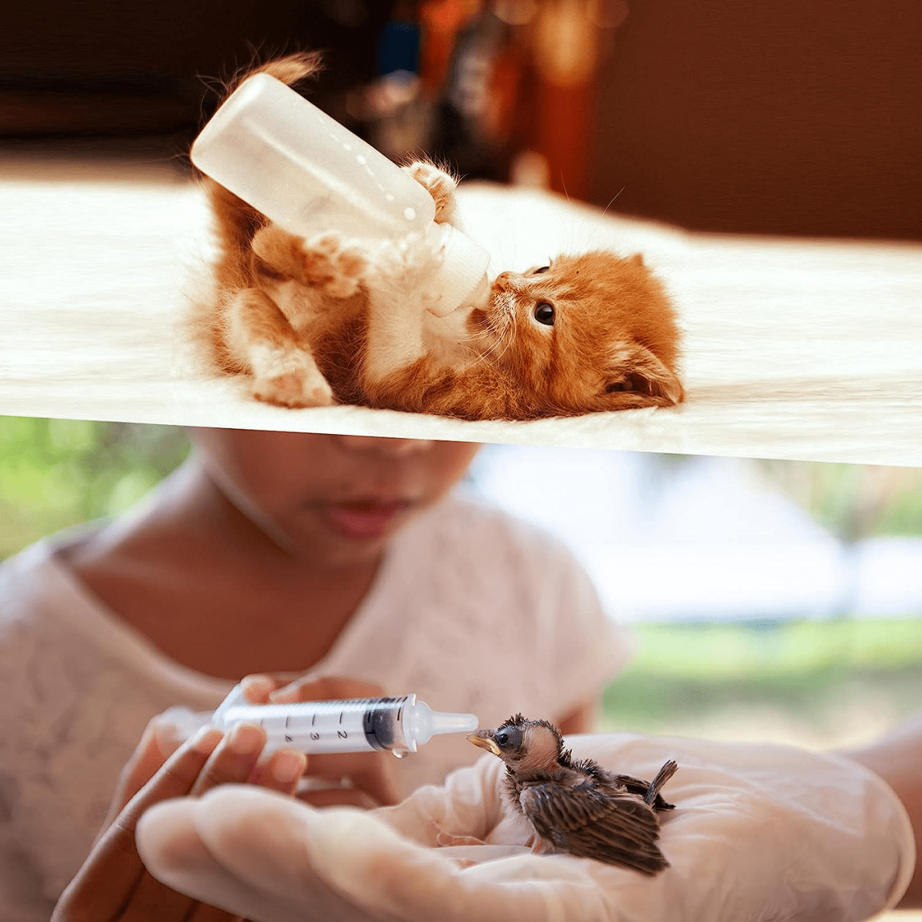 Mini Pet Nursing Bottle Kit - 17-Piece Feeding Set for Puppies, Kittens & Small Animals