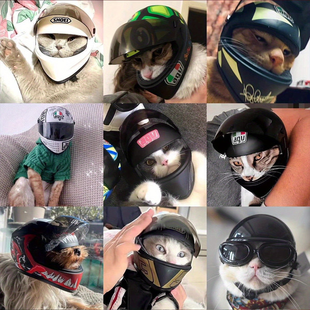 Mini Cat Motorcycle Helmet - Adorable Pet Safety Hat for Cats & Small Dogs