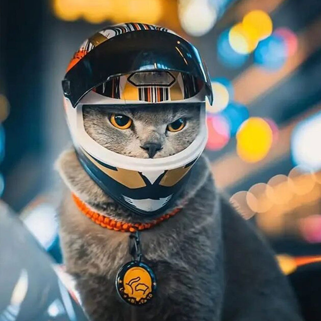 Mini Cat Motorcycle Helmet - Adorable Pet Safety Hat for Cats & Small Dogs