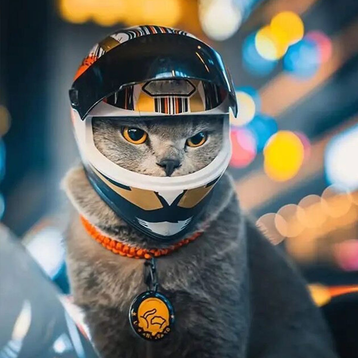 Mini Cat Motorcycle Helmet - Adorable Pet Safety Hat for Cats & Small Dogs