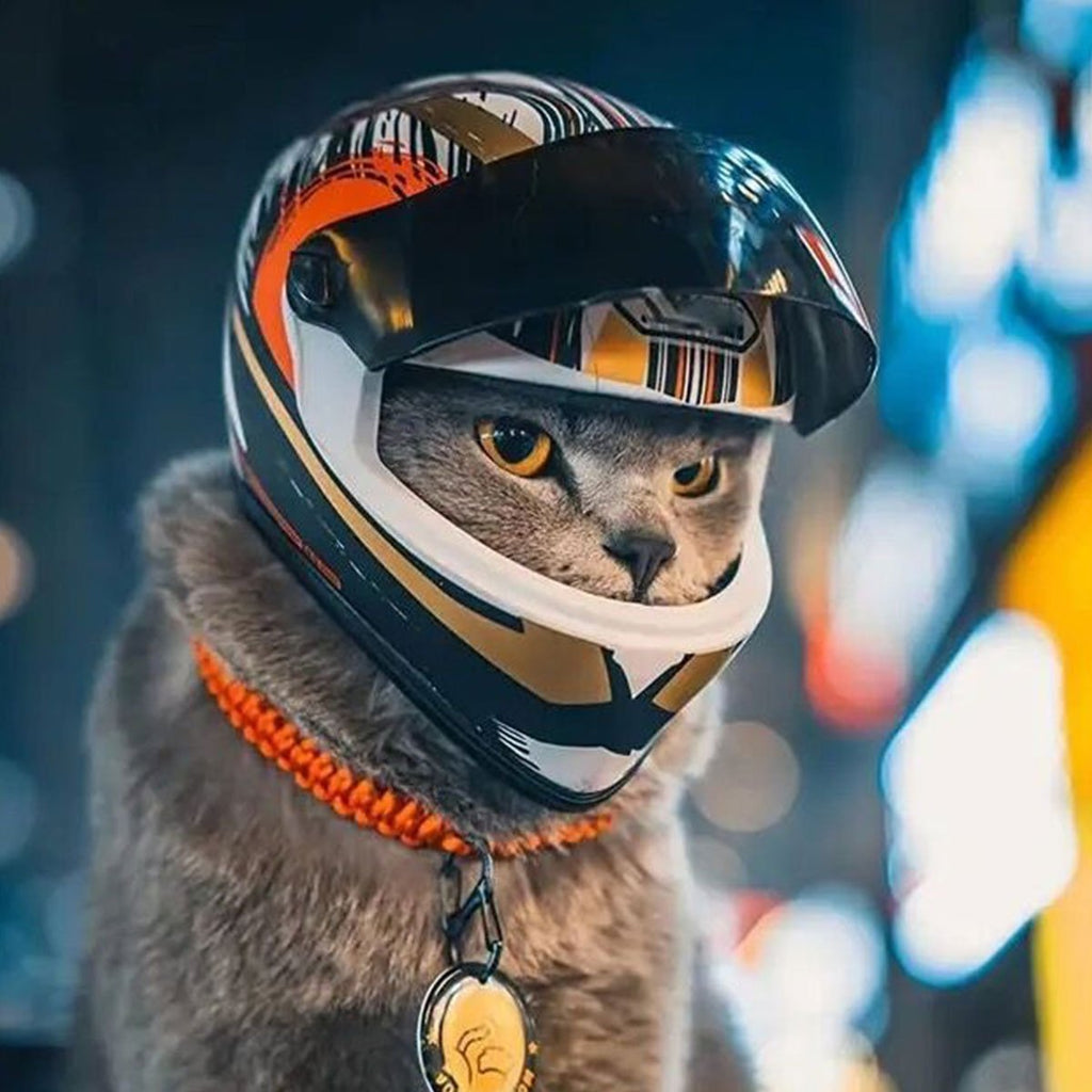Mini Cat Motorcycle Helmet - Adorable Pet Safety Hat for Cats & Small Dogs
