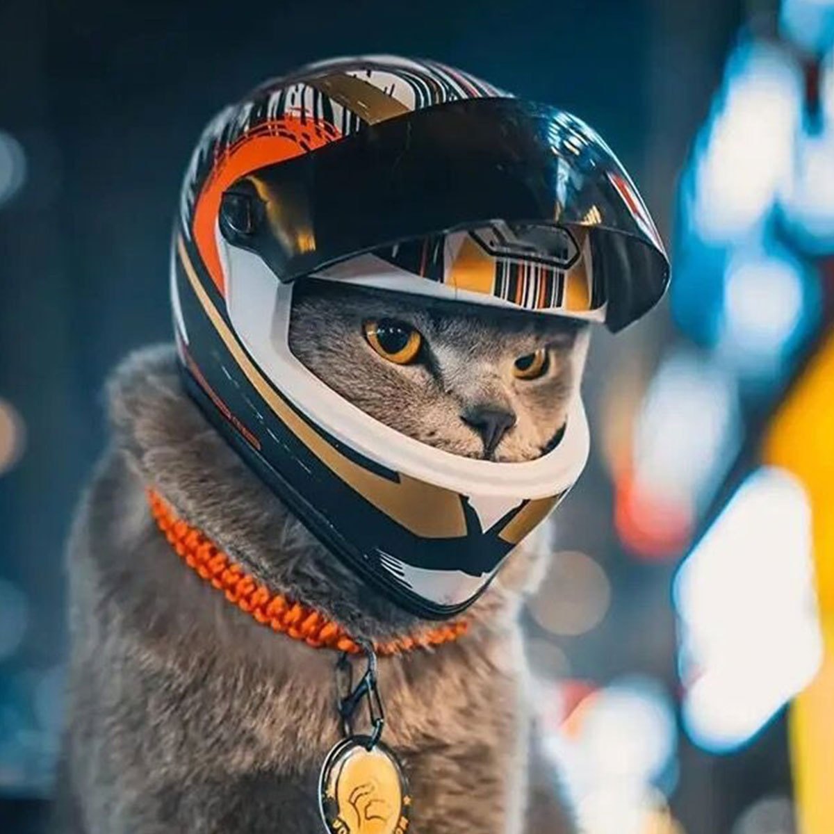 Mini Cat Motorcycle Helmet - Adorable Pet Safety Hat for Cats & Small Dogs