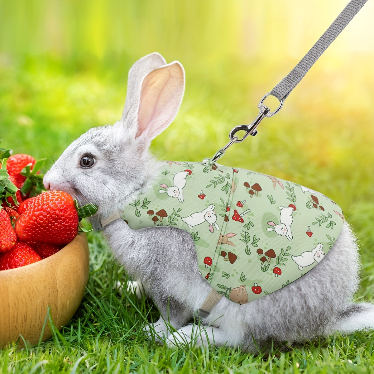 Mini Breathable Rabbit Harness & Leash Set - Soft Pet Harness for Small Animals