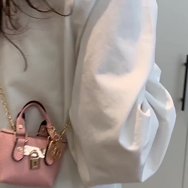 Mini Korean Handbag – Detachable Crossbody Shoulder Bag with Zipper